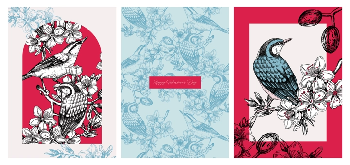 Valentine's day cards set. Collage style birds background. Hand-drawn vector illustration. Beautiful bird, blooming branch, almond, spring flower sketches. Trendy style love poster, print, wall art